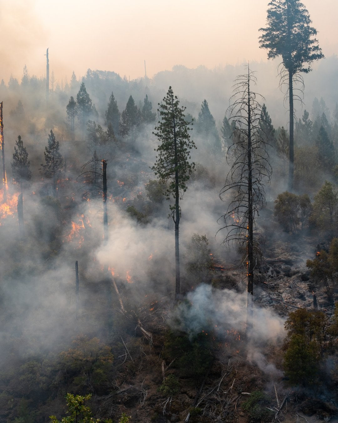 A fire-rated home safe positioned against an interior wall, prepared ahead of Northern California wildfire season