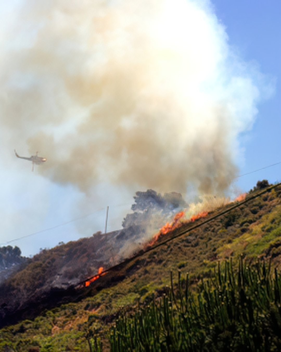 A fire-rated home safe in a Northern California living room, calibrated against the duration of a real wildfire rather than a contained house fire